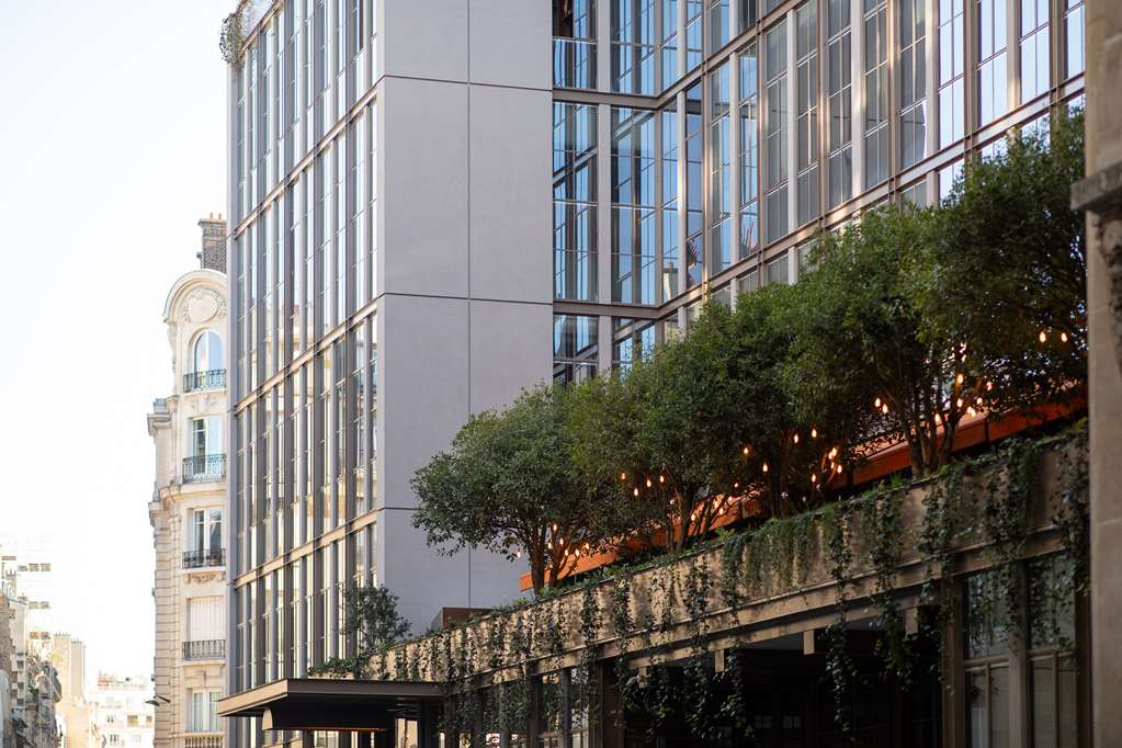 Brach Paris - Evok Collection – foto 1