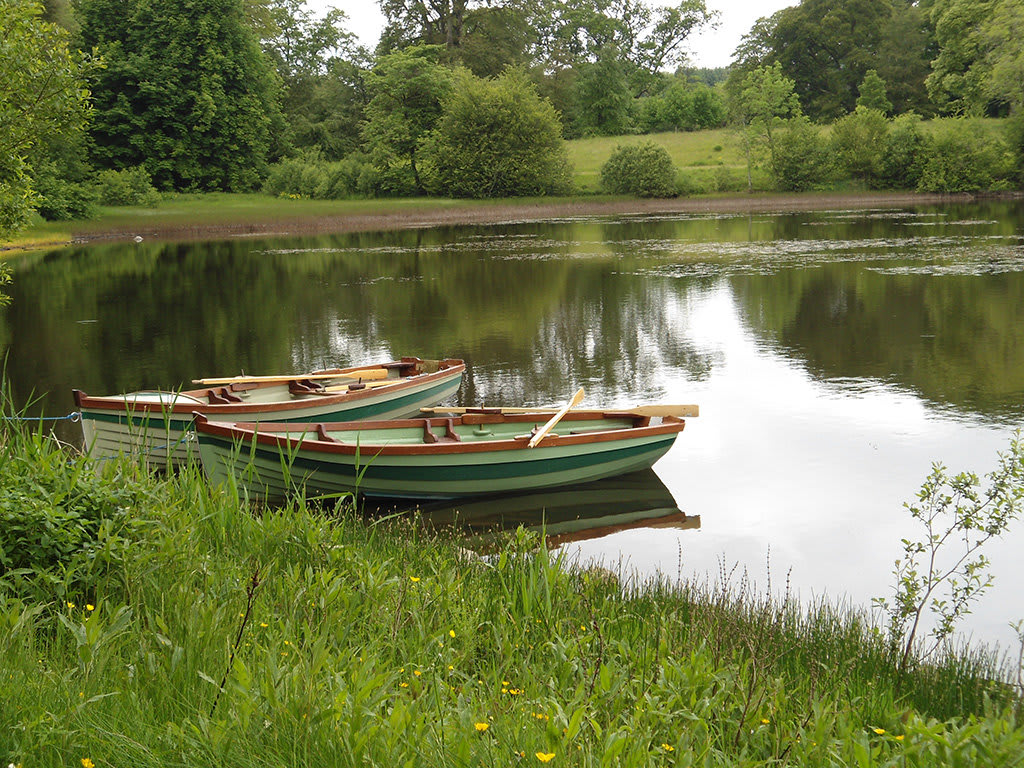 Ballyfin Demesne – foto 1