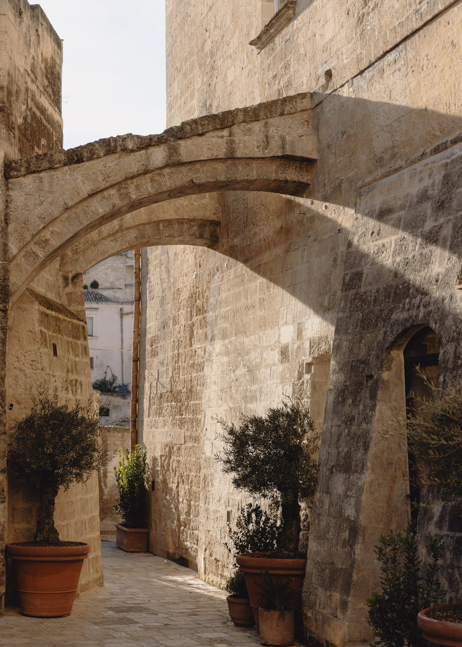Vetera Matera – foto 1